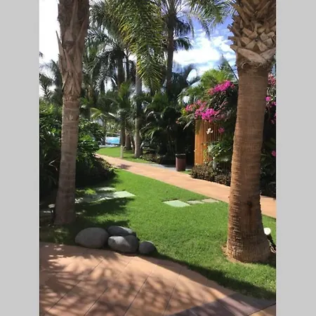 Apartamento Frente Al Mar! Playa de las Américas